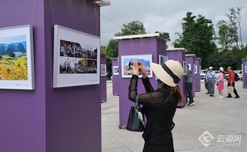 精品荟萃 云南美术、书法、摄影三展同绽昆明，美术家协会引领艺术新风尚